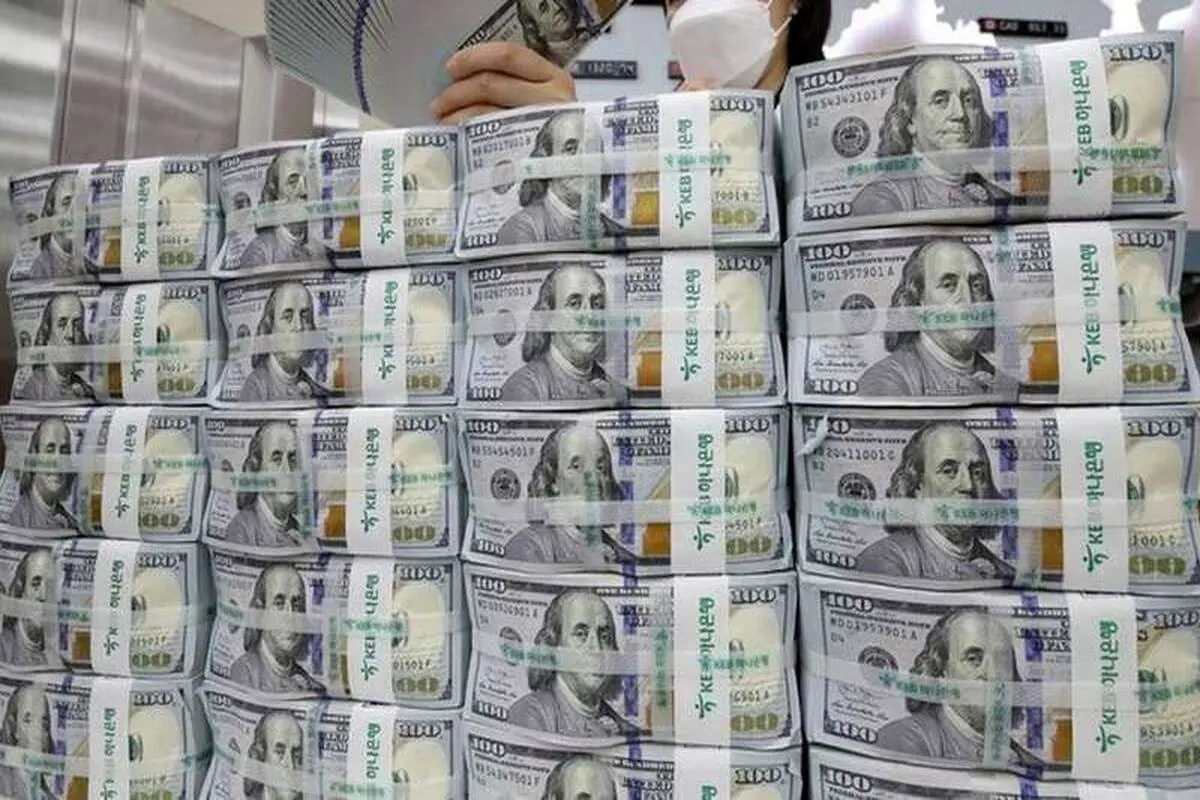 پیشنهاد افزایش میزان ارز ترجیحی کالاهای اساسی/ تخصیص ارز ترجیحی در بودجه ۱۴۰۴ به ۱۵.۵ میلیارد دلار می‌رسد؟