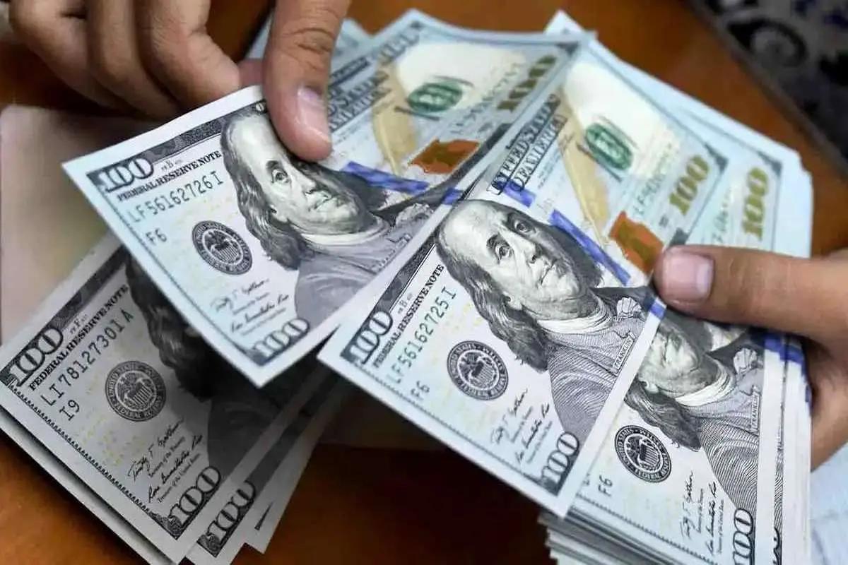 تقاضای کاذب برای واردات وجود دارد/ در بهترین حالت ارز دو نرخی خواهد بود