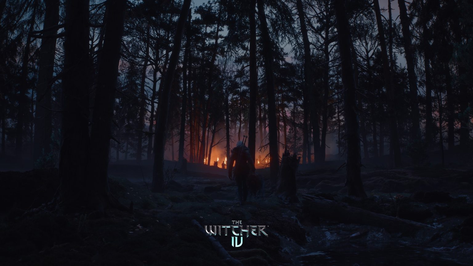 کارگردان The Witcher 4: سعی می‌کنیم تمام NPC‌ها را منحصر به ‌فرد و دارای داستان خود طراحی کنیم