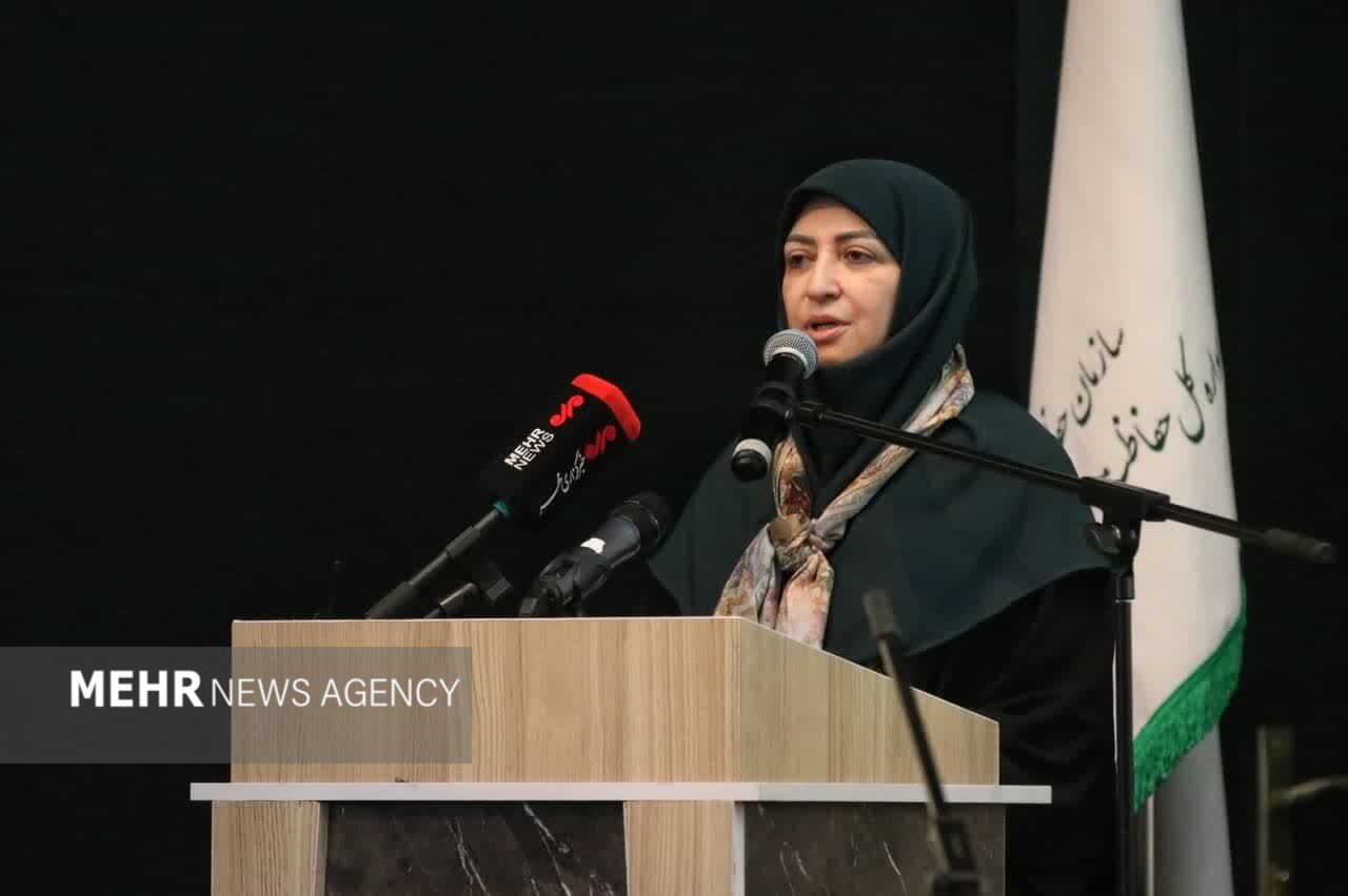انصاری: قضاوت منطقی میان اهداف توسعه و منافع محیط زیستی داشته باشیم