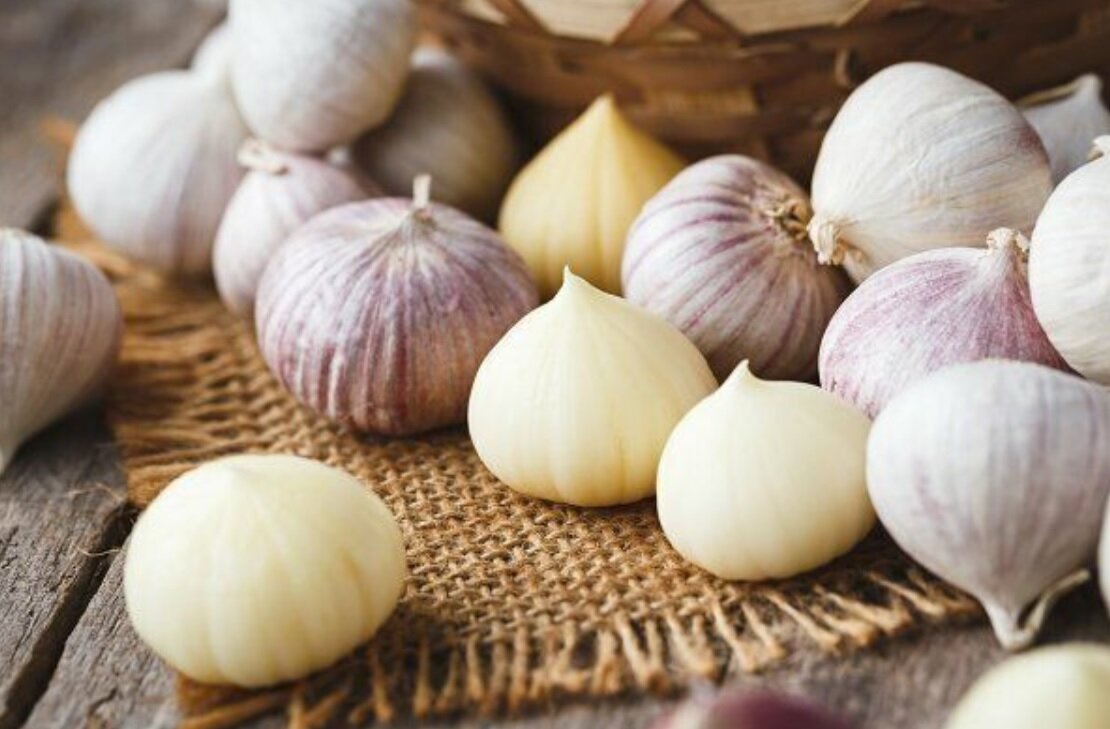 سیر تک‌حبه‌ای که احتمالا درباره آن چیزی نمی‌دانید/ عکس