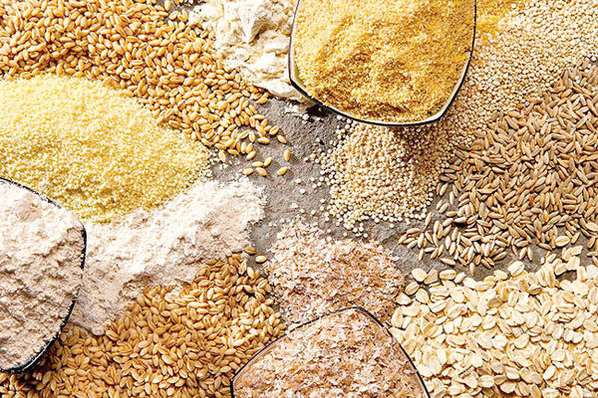 ضریب وابستگی کشور به نهاده‌های دامی چقدر است؟