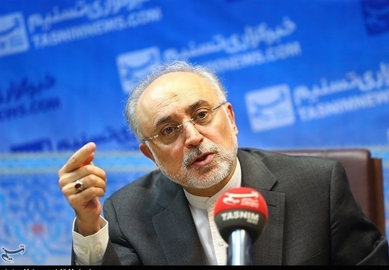 علی‌اکبر صالحی رئیس بنیاد ایران‌شناسی شد