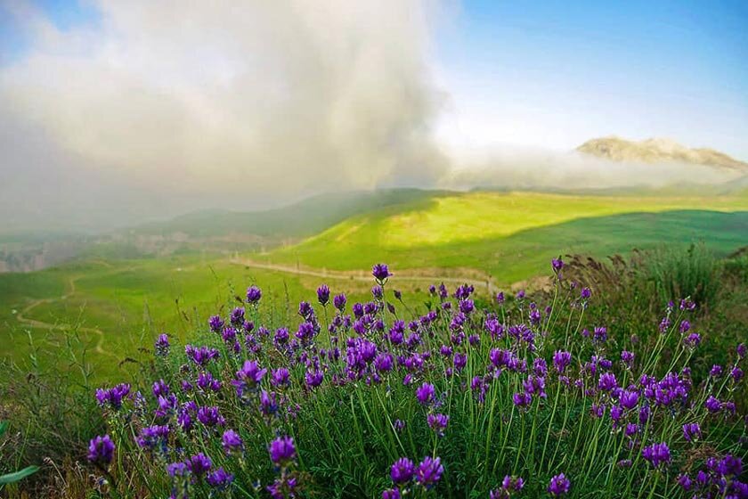 سفر یک‌روزه اطراف تهران‌ کجا برویم؟/ دشت لار، بهشت گمشده البرز؛ مقصدی بکر برای طبیعت‌گردی و عکاسی