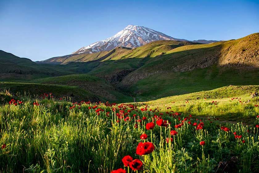 سفر یک‌روزه اطراف تهران‌ کجا برویم؟/ دشت لار، بهشت گمشده البرز؛ مقصدی بکر برای طبیعت‌گردی و عکاسی