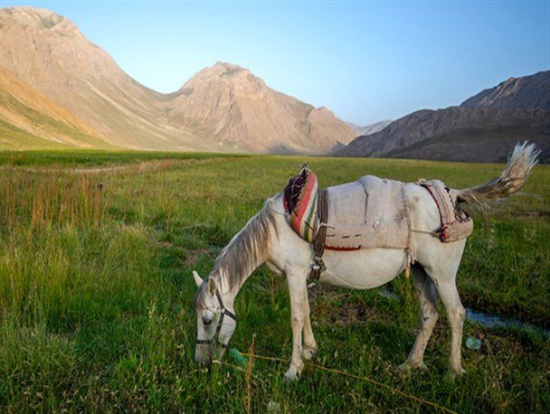 سفر یک‌روزه اطراف تهران‌ کجا برویم؟/ دشت لار، بهشت گمشده البرز؛ مقصدی بکر برای طبیعت‌گردی و عکاسی