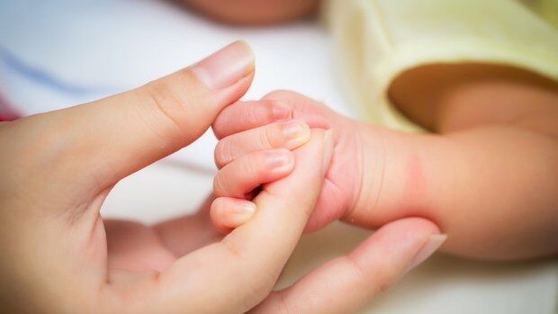 آغوش نخست، آغاز زندگی – سلامت نیوز