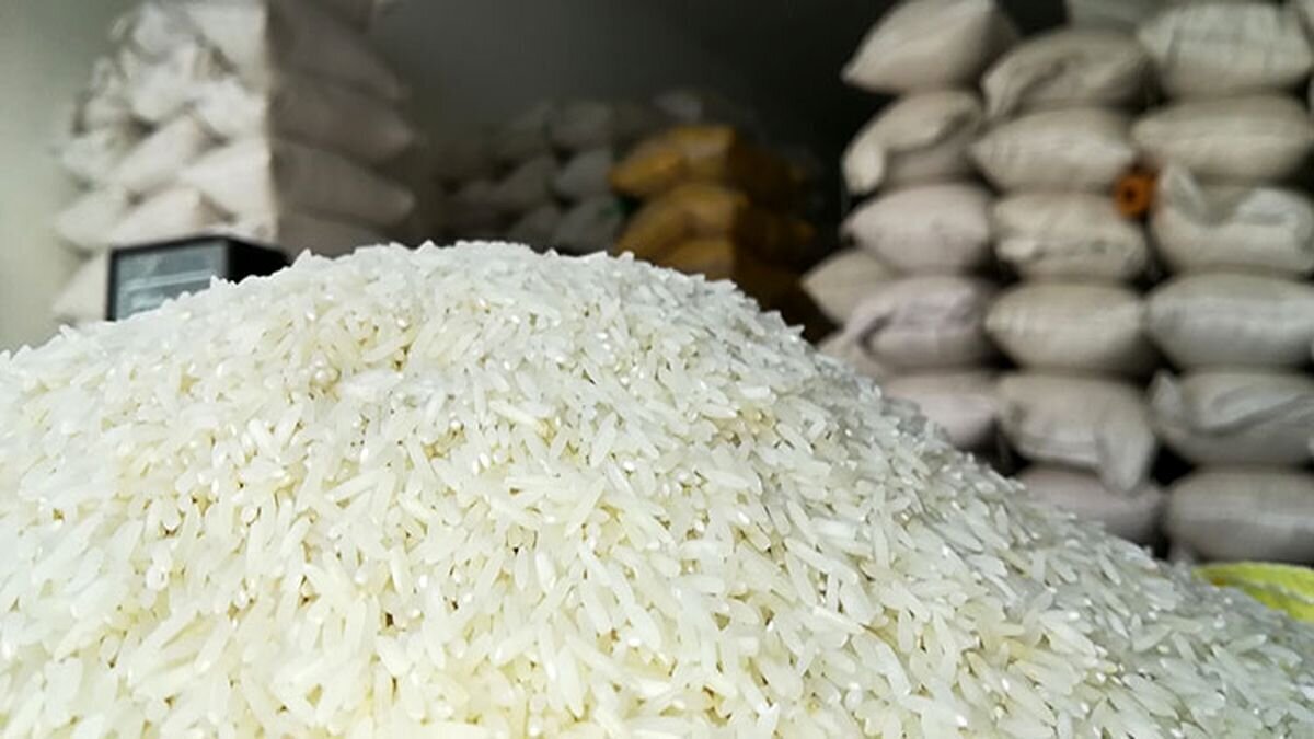 آماری عجیب از دور ریز برنج در کشور؛ روزانه ۸ تُن!