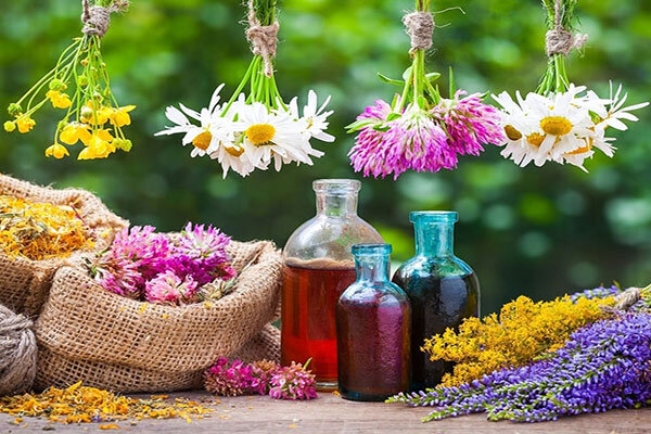 با این ۱۰ گیاه دارویی، شب‌ها راحت بخوابید!