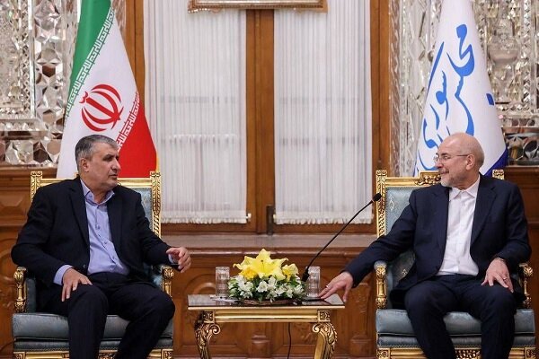 تاکید بر اهمیت تداوم همراهی مجلس در پیشبرد اهداف صنعت هسته‌ای کشور
