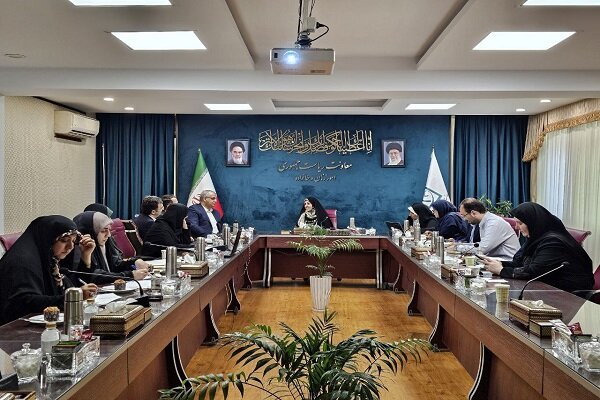 تدوین برنامه اقدام ملی برای کسب و کار خانگی زنان
