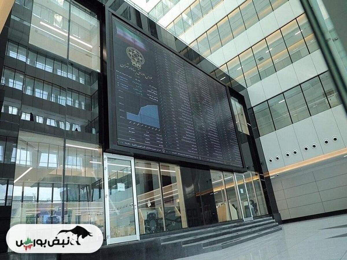 تصمیمات مهم سازمان بورس در سال ۱۴۰۳ برای حمایت از سهامداران چه بود؟