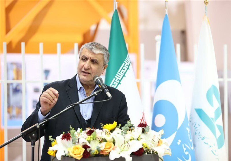تمام زیرساخت‌های برنامه هسته‌ای ایران درون‌زا و کاملاً بومی است