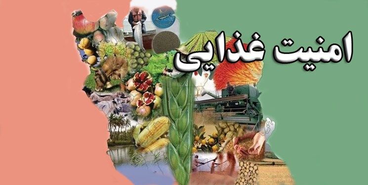 جزییات طرح امنیت غذایی کودکان برای امسال