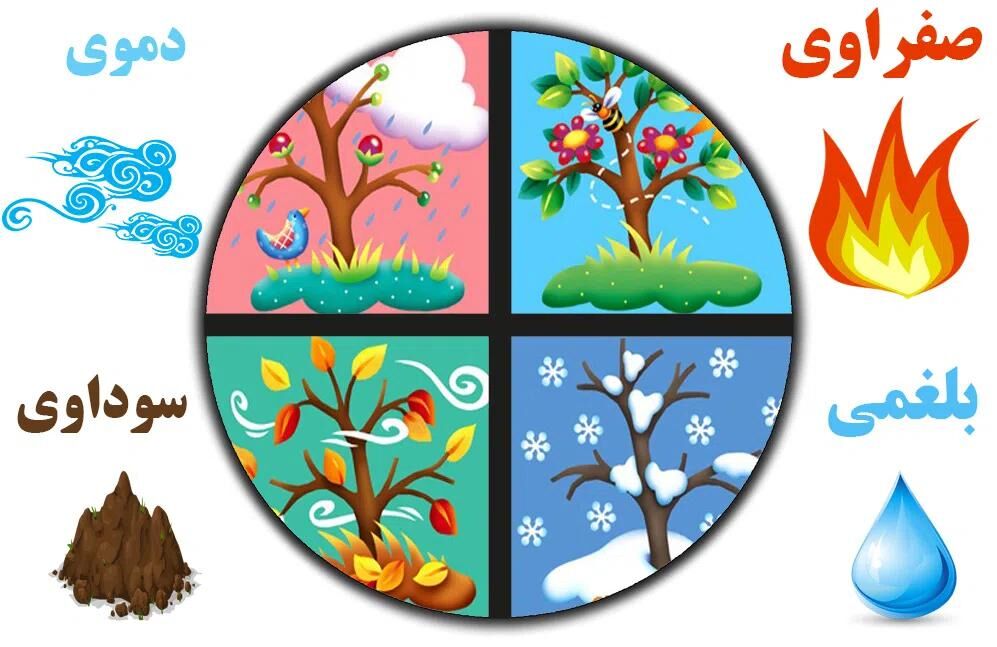 رازهای مزاج‌شناسی؛ وقتی صفراوی‌ها تیزهوش‌ترند و دموی‌ها خوش‌مشرب‌تر!