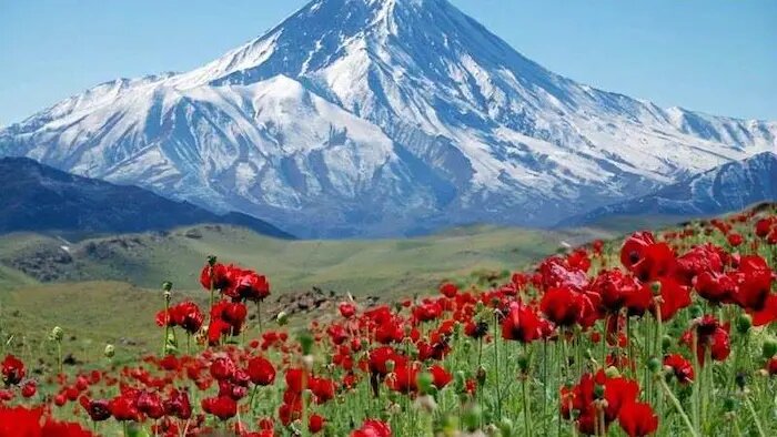 سفر یک‌روزه اطراف تهران‌ کجا برویم؟/ دشت لار، بهشت گمشده البرز؛ مقصدی بکر برای طبیعت‌گردی و عکاسی