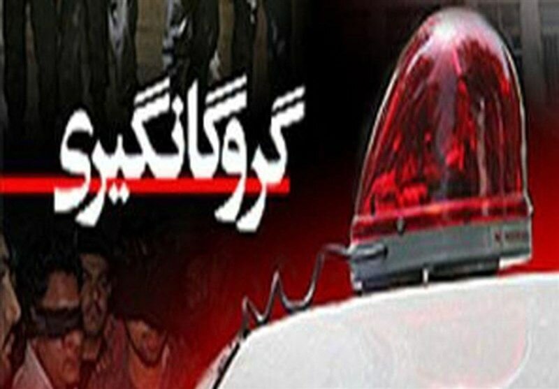 نجات ضربتی نوجوان ۱۶ سال از چنگ گروگان‌گیران