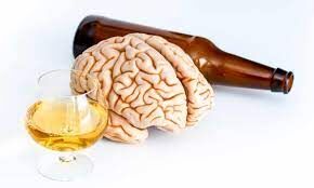 نوشیدن الکل، مغز را می‌فرساید و عمر را کوتاه می‌کند